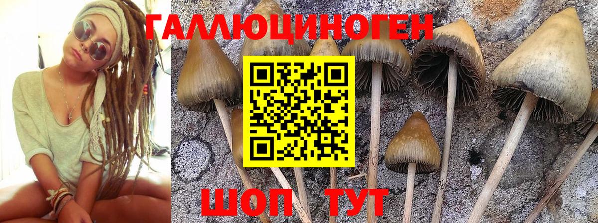 Псилоцибиновые грибы MAGIC MUSHROOMS  Вход с VPN  Галлюциногенные грибы ЛСД  хочу наркоту  Клинцы 