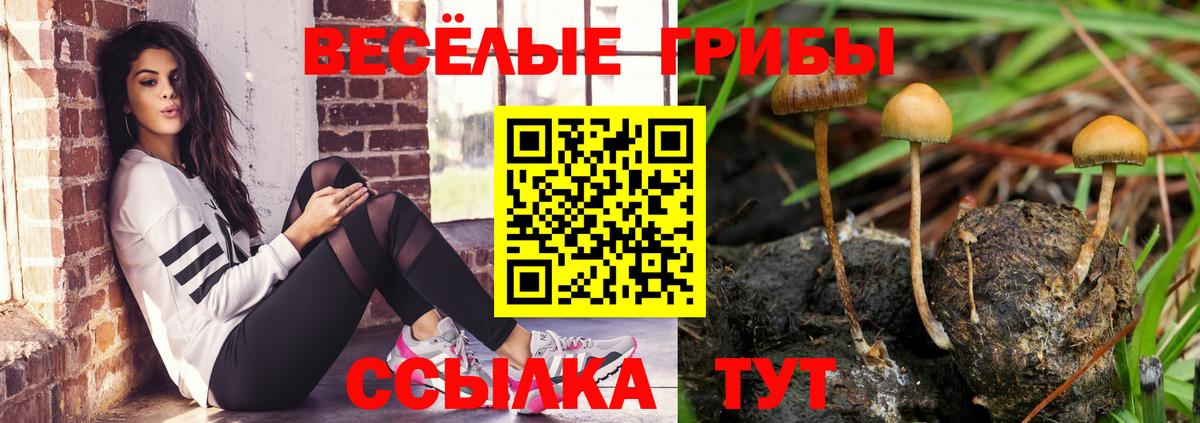 Галлюциногенные грибы мухоморы Клинцы